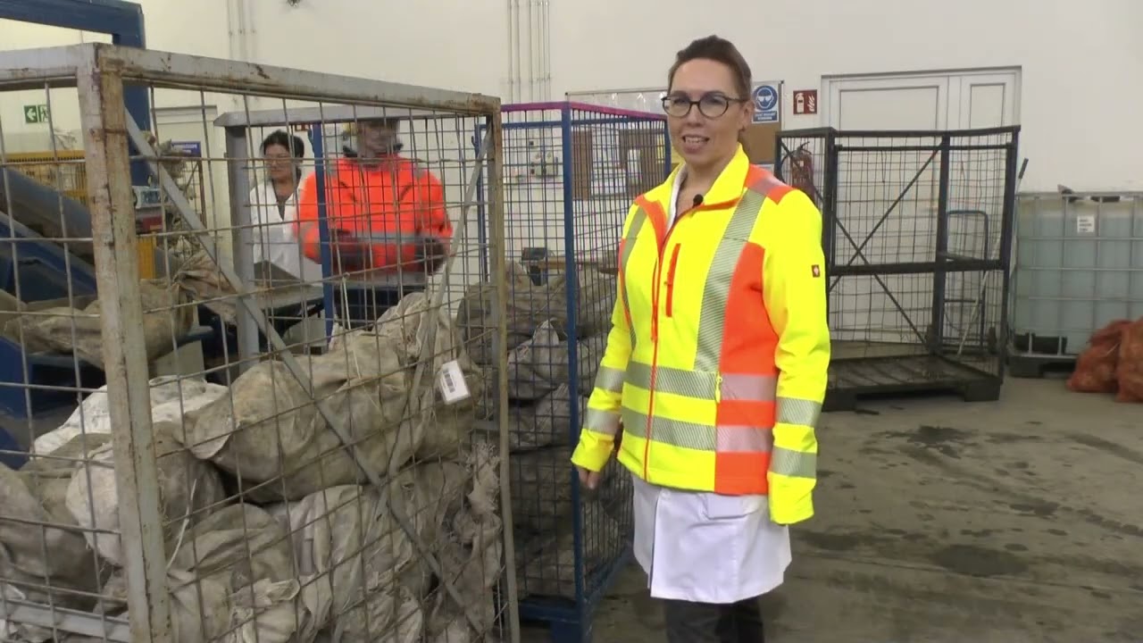 Ocena zawartości cukru w burakach. Centralne laboratorium surowcowe w Strzelinie