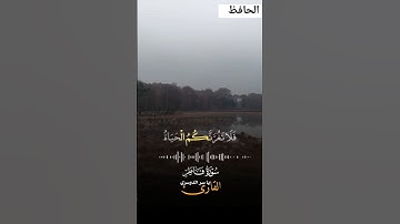 سورة فاطر بصوت الشيخ ياسر الدوسري #القرآن_الكريم #قرآن #سورة_فاطر #ياسر_الدوسري #الدوسرى