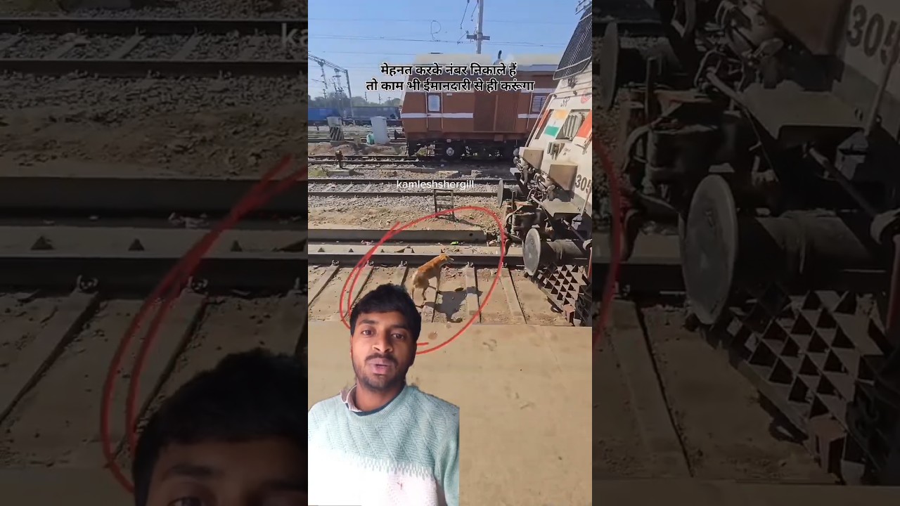 🐕 dog is powerful....