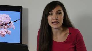 How to Use Extended Desktop with Barco ClickShare   Wireless Presentation