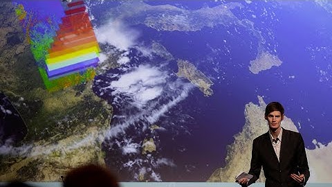 NICFI with Henrik Fliflet, Ministry of Climate and Environment