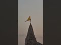 jay Dwarkadhish❤️🙏...#dwarka#jaydwarkadhish#love #krishna#status #trending#new #shorts #viral #video