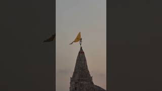 jay Dwarkadhish❤️🙏...#dwarka#jaydwarkadhish#love #krishna#status #trending#new #shorts #viral #video