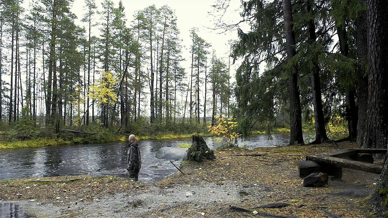 Saantimies ja Kaatoryyppy - Koitajoki I
