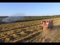 Grass Seed Harvest Fly By