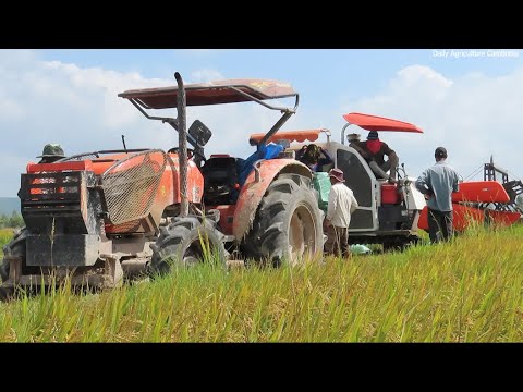 agriculture related news