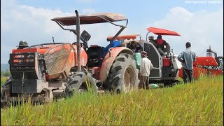 Kubota dc-70plus working at farm| Tractor transport and machine rice harvester| Daily Agriculture