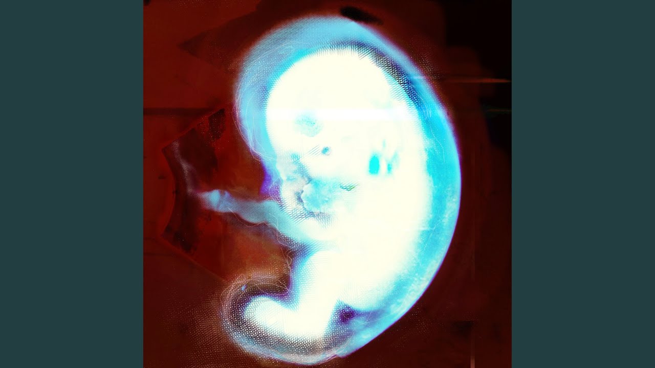 Watch Embryo on YouTube Watch Embryo on YouTube