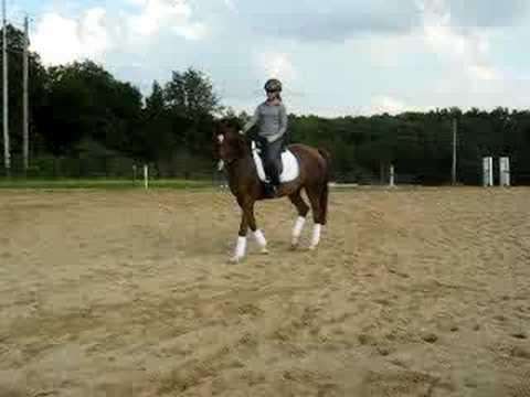 Amanda Bailey Clinic July 11th- ride 2a