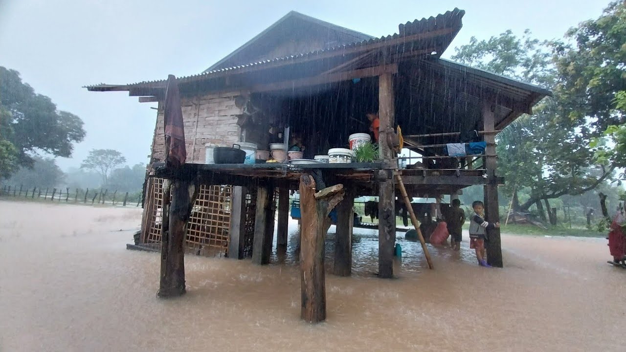 ຝົນຕົກຫນັກຈົນຖ້ວມຖຽງນາ//ฝนตกหนักจนถ้วมถๅงนา