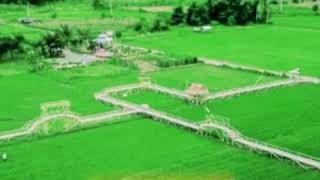 Story wa:) Dego-dego sawah🤗😚💛