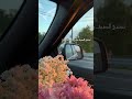 نستنى الصيف ويجي حسيني توالت توال اكسبلور بدون موسيقى