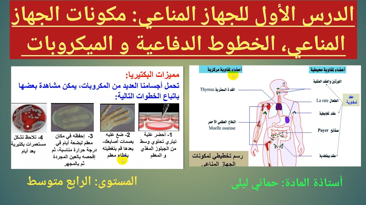 الدرس 1 من الجهاز المناعي: مكونات الجهاز المناعي، خصائص الميكروبات و انواعها، الخطوط الدفاعية 