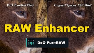 RAW Photo Files Enhancer? DxO PureRAW is a game changer - RED35 Review