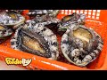 전복 모듬해물회 / Raw Abalones with Assorted Seafood - Korean Street Food / 서울 노량진 수산시장
