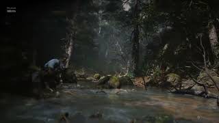 Black Myth Wukong Benchmark Tool Test 4K Tutto Su Cinema Ray Tracing Ultra