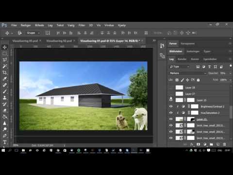 Video: Hvordan virker PSD?