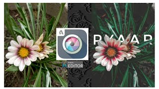 Tutorial:how to write text on flowers with Pixlr express apps |Mobile editing | Alokta edit screenshot 4