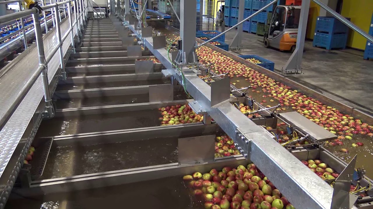 GT Apples