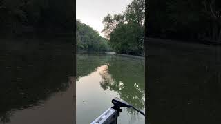 River monster fishing! No place I’d rather be #theoutdoorsguy #fishing