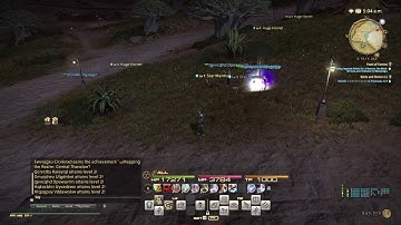 FFXIV Bots/Hecker System