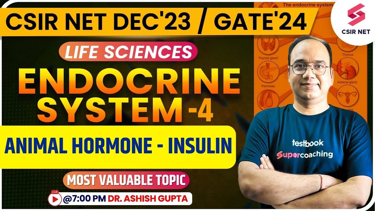 CSIR Dec 2023 | GATE 2024 | Endocrine System | Animal Hormones | Insulin | Dr.Ashish Gupta