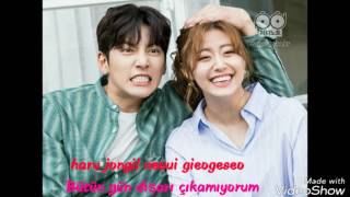 Kim Jong Wan (NELL) - The Memory of that Day ( türkçe altyazılı - ROM) Suspicious Partner OST