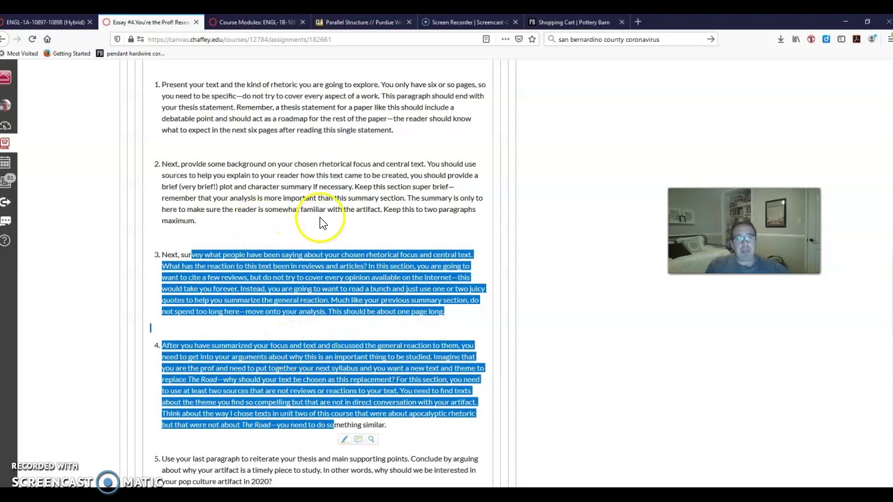 Synthesis essay example picture