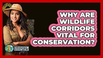 Why Are Wildlife Corridors Vital For Conservation? - Ecosystem Essentials