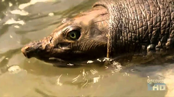 Austin Stevens In Search of the Man Eating Python