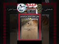 الكلب مره انسان جري ورانا Explore Youtubeshorts Follow Dogs Funny الكلب مره انسان جري ورانا Explore Youtubeshorts Follow Dogs Funny