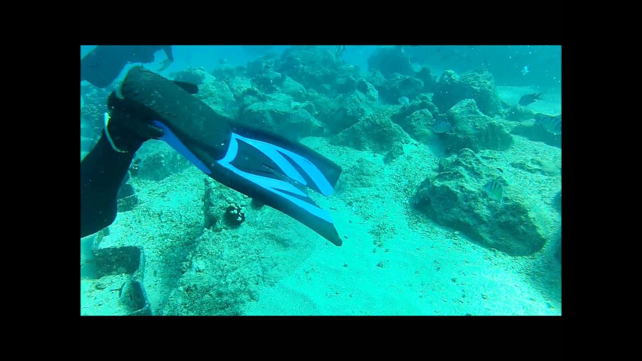 Electric Beach Dive 51113 exhaust pipe and turtle YouTube