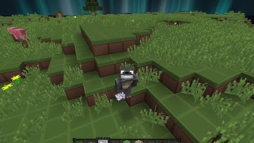 Hcf Trap Tutorial #5