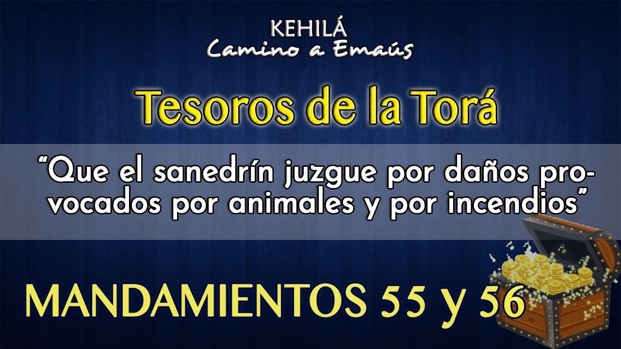 Mandamiento 55 y 56 'Que el sanedrín juzgue por daños provocados por animales y por incendios' estudios biblicos sobre la oracion