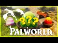 Jai eu un pal rare   unboxing doeufs  palworld