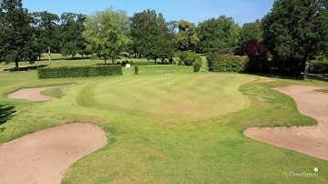 Golf D