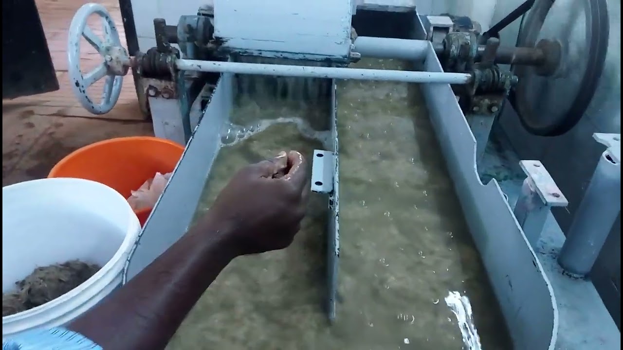 Hemp Fiber Beating / Hemp Pulp / Hemp Processing