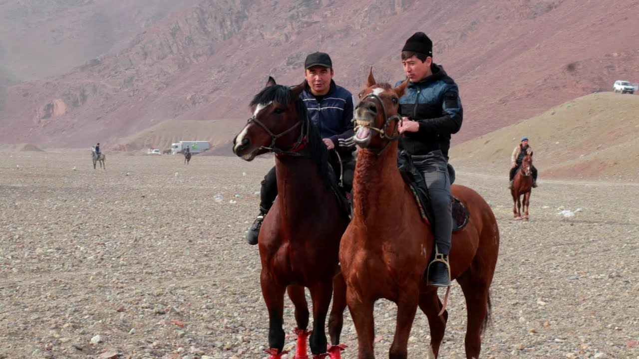 Бузкаши дехаи Шохкадам 11 02 2026