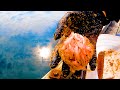 エビ爆弾を投下した海の世界を覗いてみた【魚群探知型水上ドローン CHASING DORY F1】