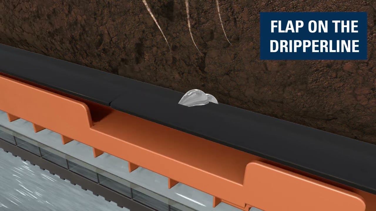 Subsurface Drip Irrigation (SDI): Uniform Watering Year After Year | Netafim