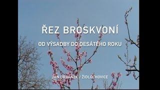 Řez broskvoní  od výsadby do desátého roku (1. díl)