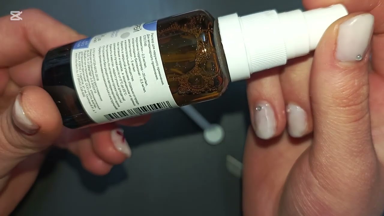 Ушной клещ у кроликов 