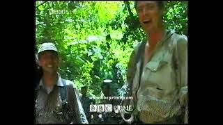 Bbc Prime - Ajánlók - 2006