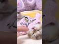 【スカッと】義母がうちの猫を勝手に逃がそうとした