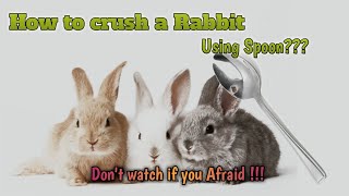 How To Crush A Rabbit Rabbit Butcher