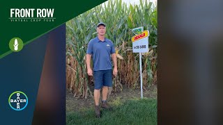 The Front Row: DEKALB® DKC58-34RIB - A Corn Hybrid with Above- and Below-Ground Insect Protection