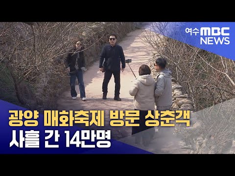 광양 <strong>매화축제</strong> 방문 상춘객 사흘 간 14만명 (250310월/뉴스데스크)