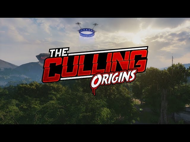 The Culling Game in a Nutshell