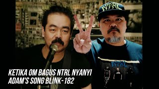 Download Lagu Blink-182 Adam's Song X NTRL Sorry (Mash Up Cover) MP3