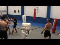 Kickboxing vis locht dessart